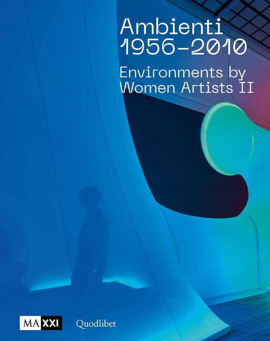 AMBIENTI 1956 - 2010.  Environments by Women Artists II